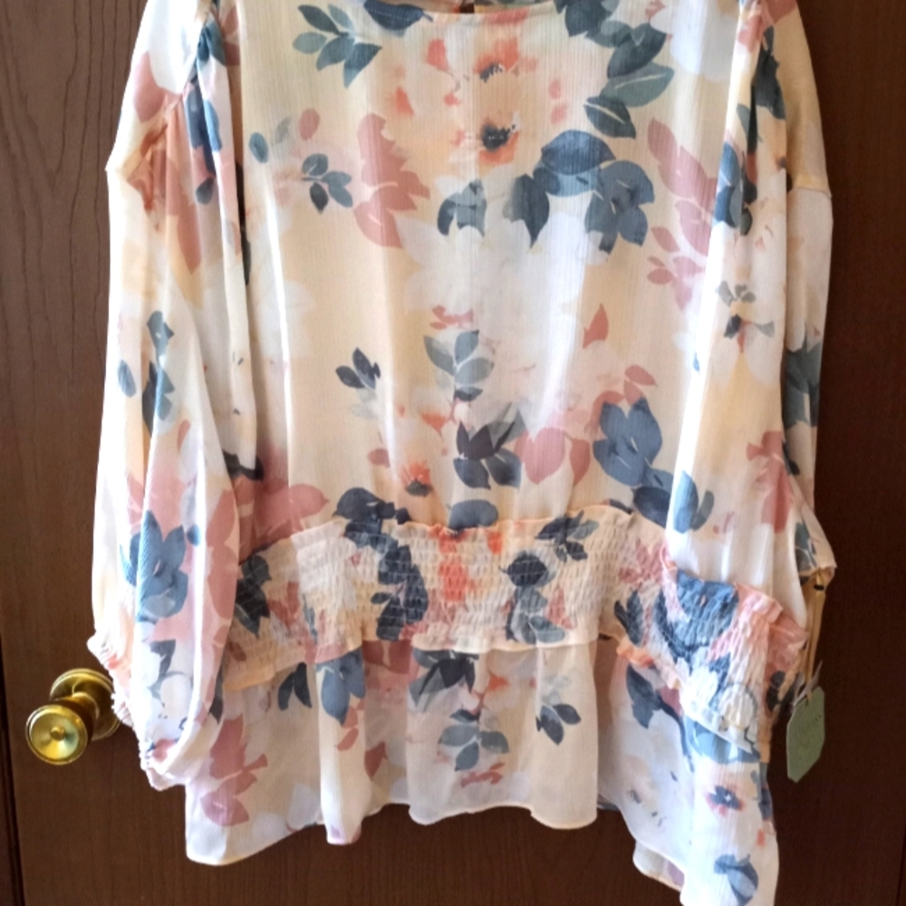 Women's Plus Size Peplum Blouse
